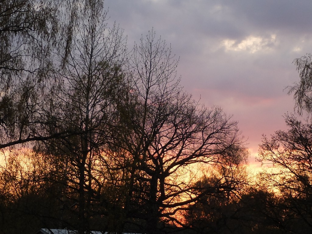 DSCF4052.JPG
