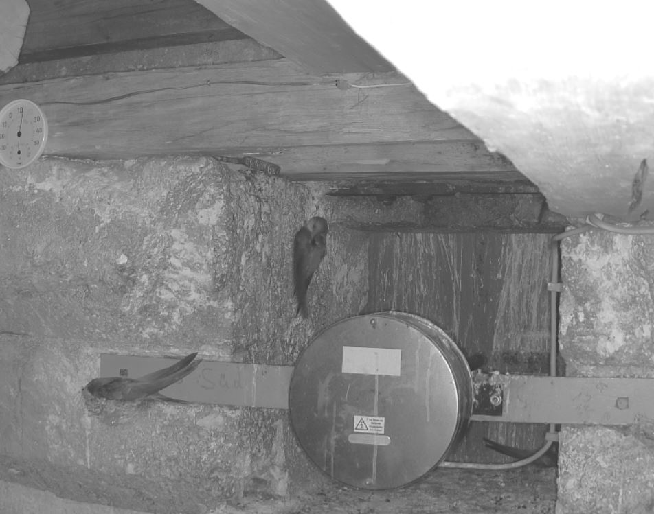 As hängt an der wand.JPG