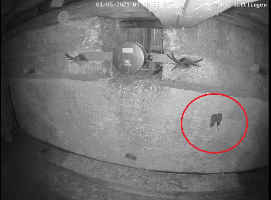 Paar an der Wand.jpg