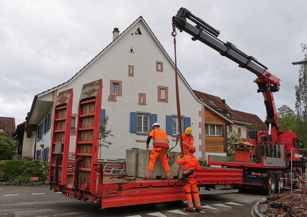 Schreckmoment vor meiner MS-Kolonie.