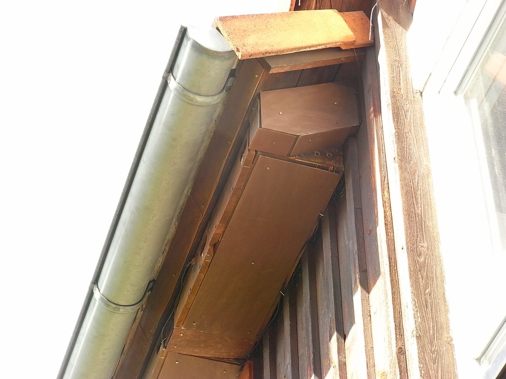 R0020012.JPG
