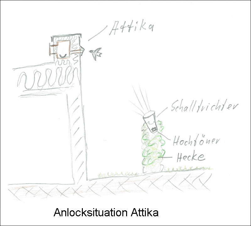 Querschnitt Büro-1.jpg