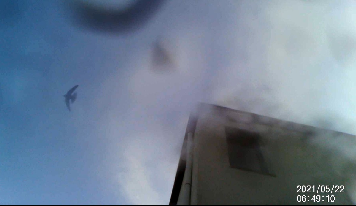 WhatsApp Image 2021-05-22 at 23.00.55.jpeg