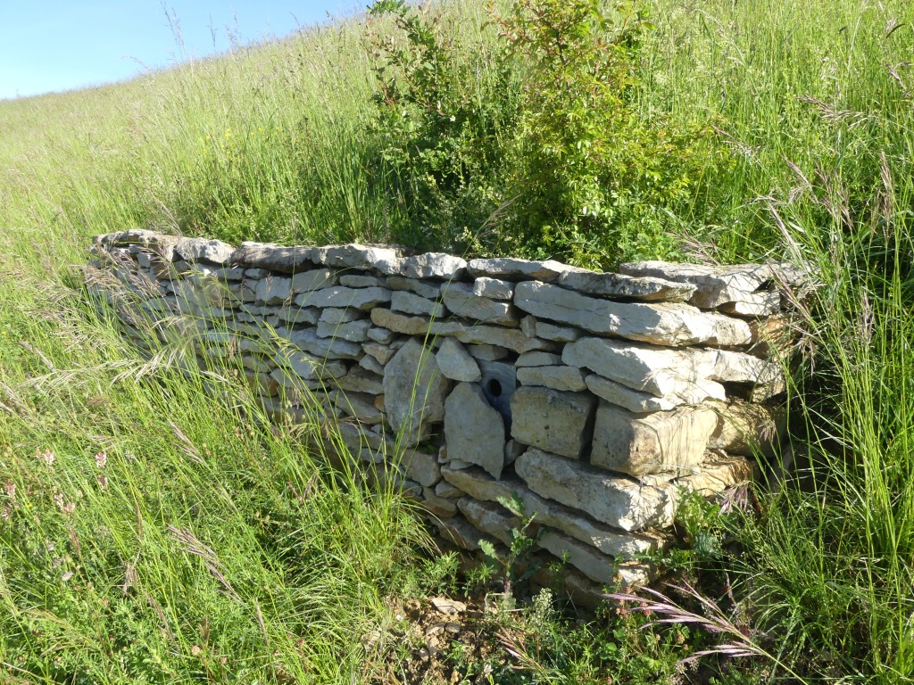 Monströser Wiedehopfkasten in Feldmauer integriert, 28.05.2021