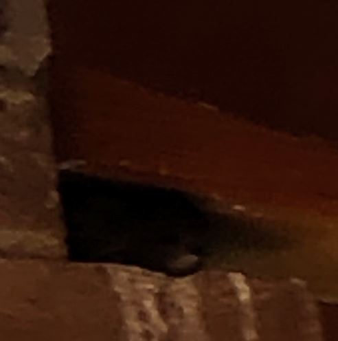 Foto01.JPG