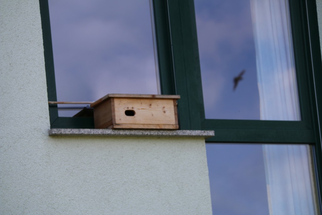 eisehbarer Kasten in der Fensterbank