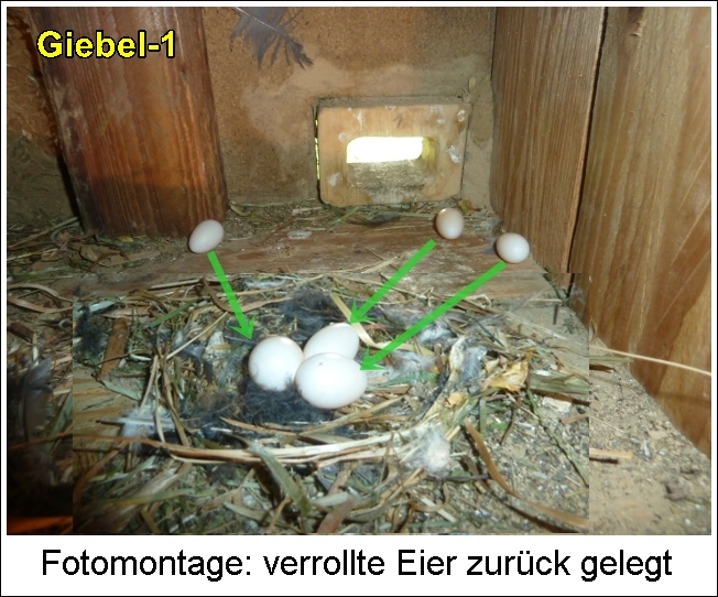 P1110505-1.JPG