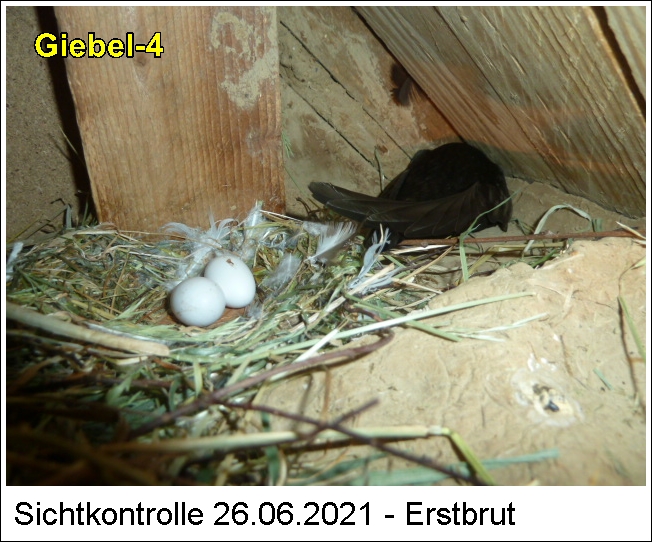 P1110509-1.JPG