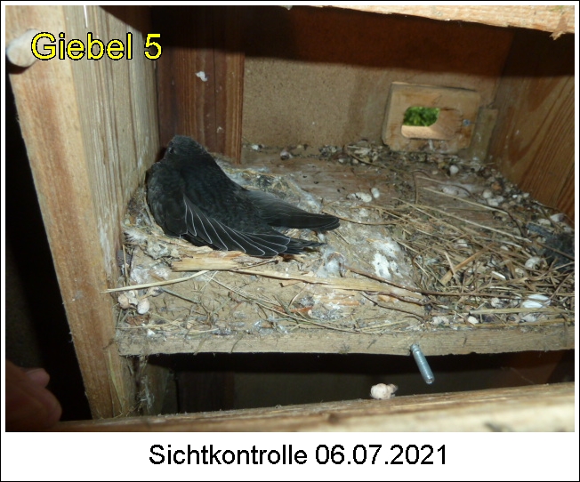 P1110526-1.JPG