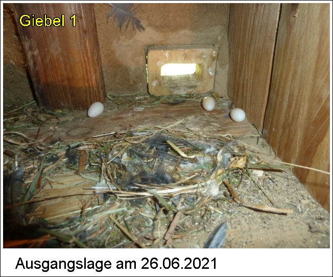 P1110505-1.JPG