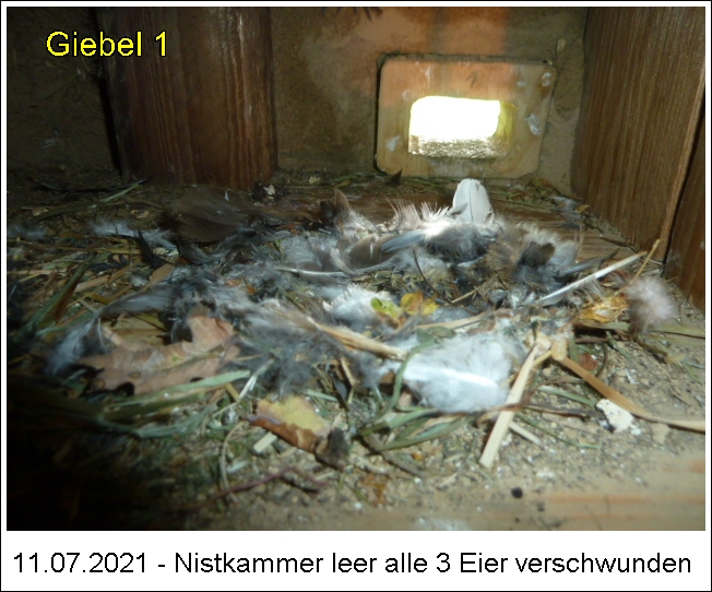 P1110552-1.JPG