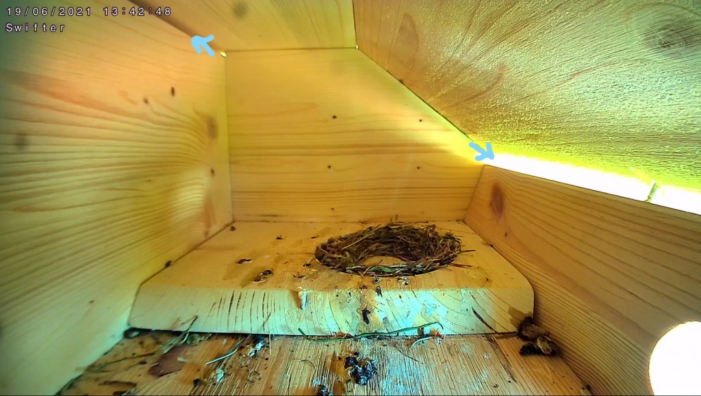 2021-06-19 13_42_52-Window_LI.jpg