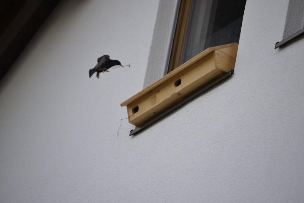 Anflug