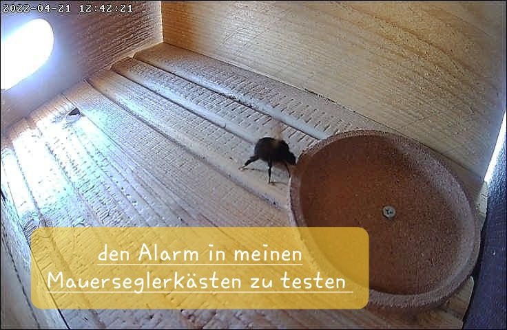 hw-mpic_2022-04-21_12-42-21.jpg