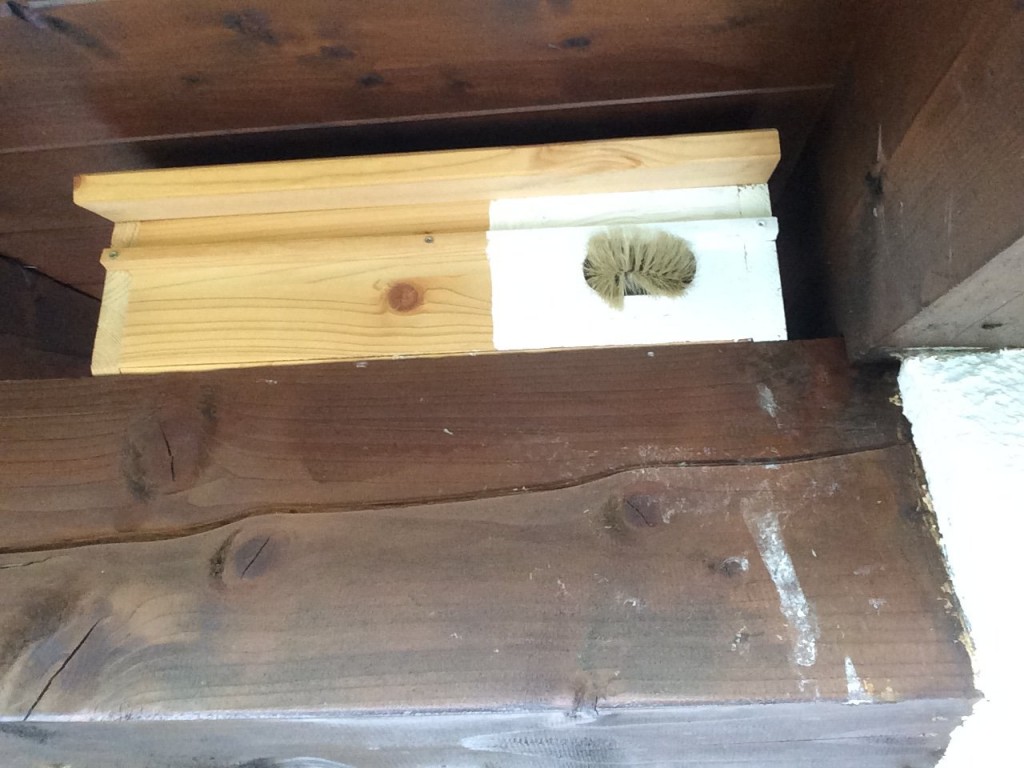 Weiße Farbe betont die Einflugöffnung