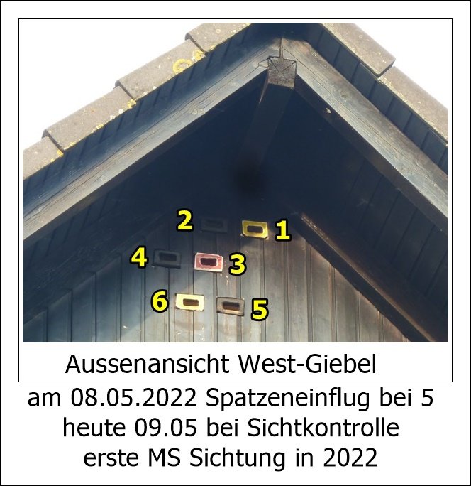 P1100464-2.JPG