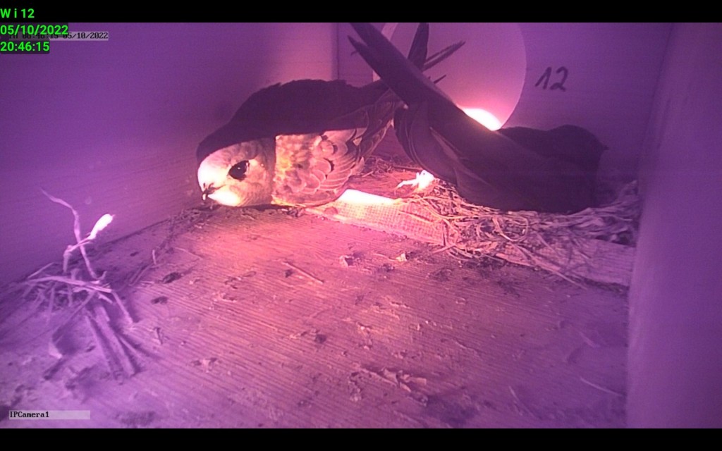 ein Sonnenbad nach der langen Reise