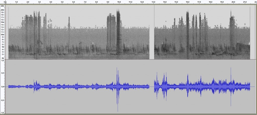 Sonogramm-Video AB.jpg