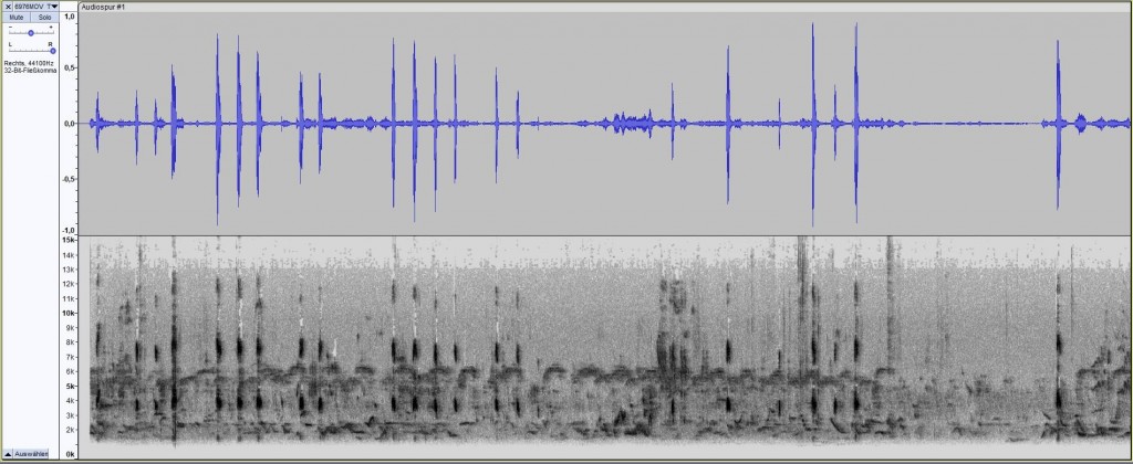 GRAFIK-MOV6976-Sonogramm.jpg