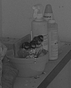 Werkstatt Nest 1_live_1656321302093.jpg