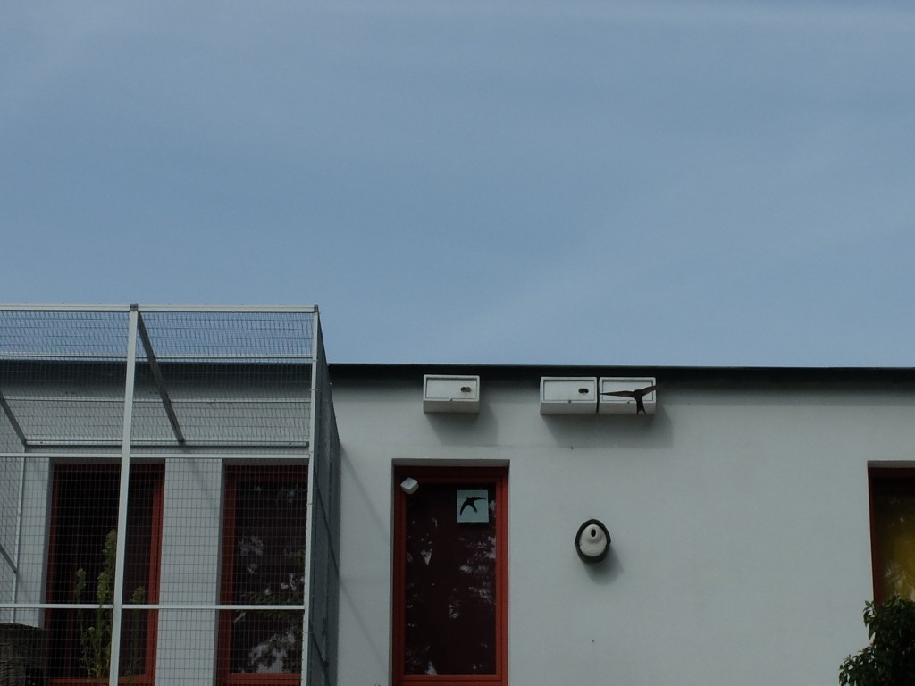 DSCF5133.JPG (331.75 KiB) 676 mal betrachtet Einflug Osten
