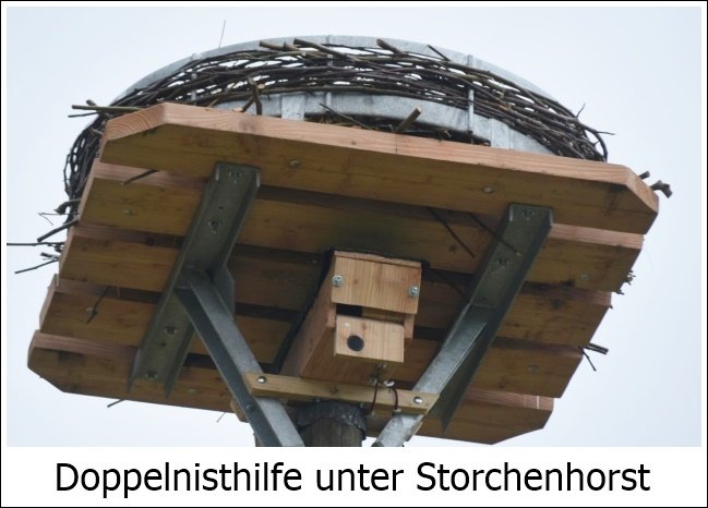 Nest mit MS Nisthilfe-1.jpg