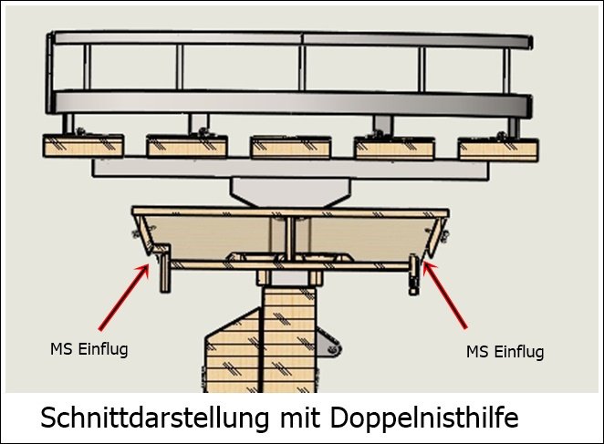 Nestschnitt-1.1.jpg