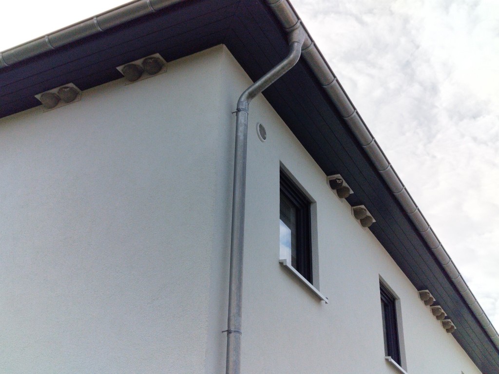 IMG_20230407_161518.jpg