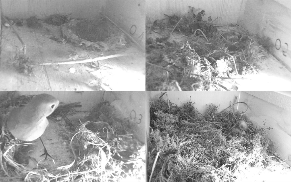 Innenansicht Reihenhäuser