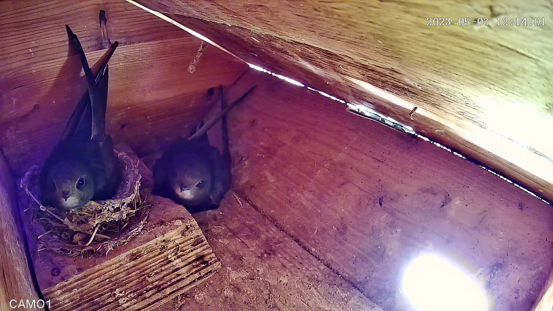 Bitte lächeln: click