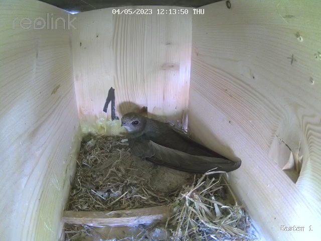 Kasten 1 4.5.2023, 16-46-24(pb).jpg