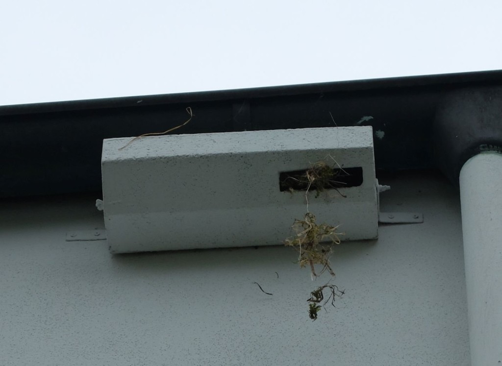 DSCF5630.jpg