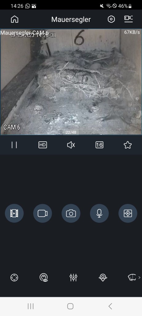 Screenshot_20230509_142639.jpg