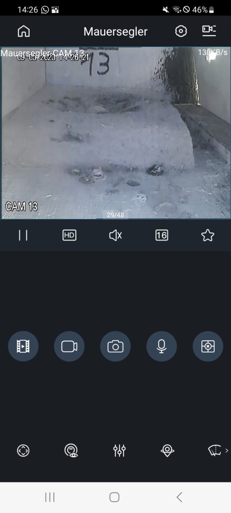 Screenshot_20230509_142622.jpg
