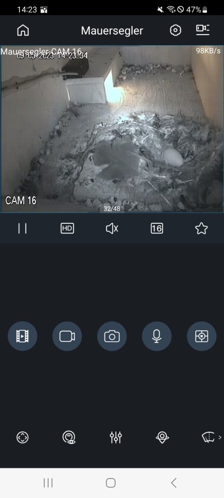 Screenshot_20230509_142335.jpg
