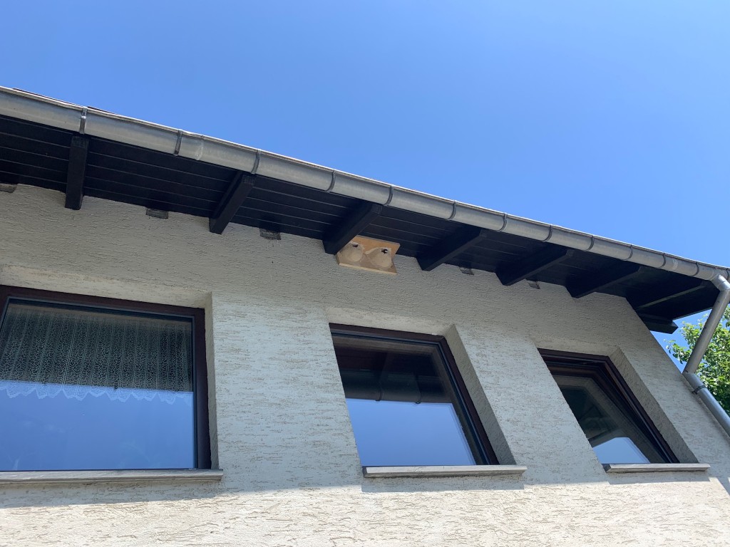 Neuansiedlung 04.06.2023