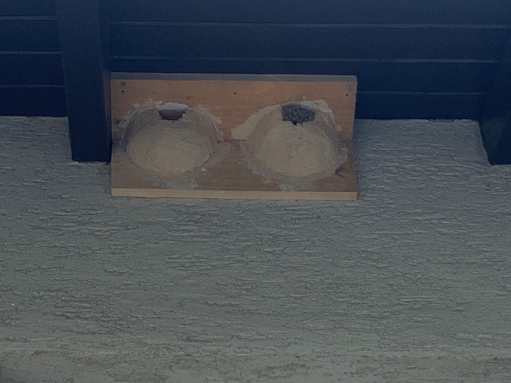 Schwalbennest Mum