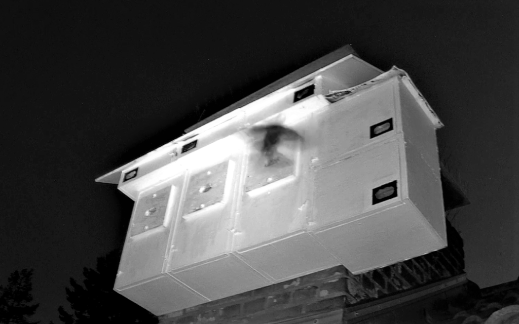 Screenshot (6925).png