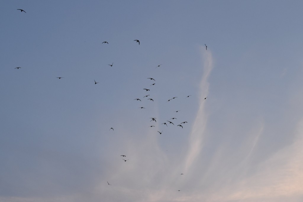 nimmt Kurs auf die Kamera