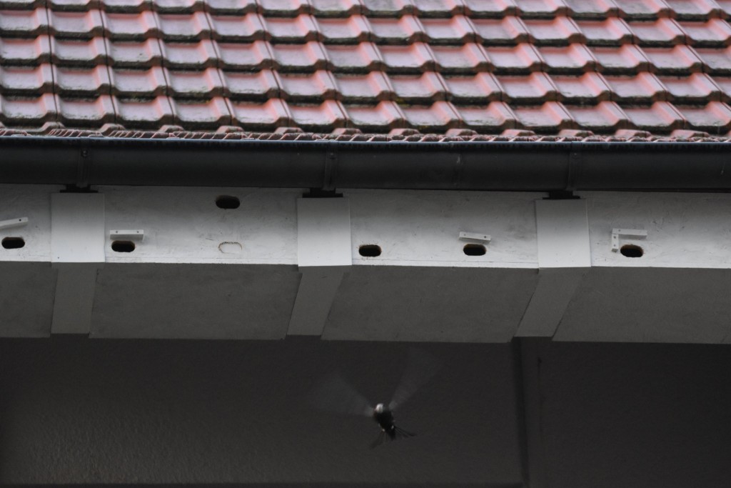 ...verliert etwas Höhe und kommt in Fahrt und verschwindet 2 Sekunden später hinter einem Hausdach.