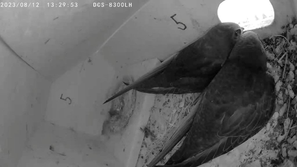 Schon bald stürmen wir den Himmel