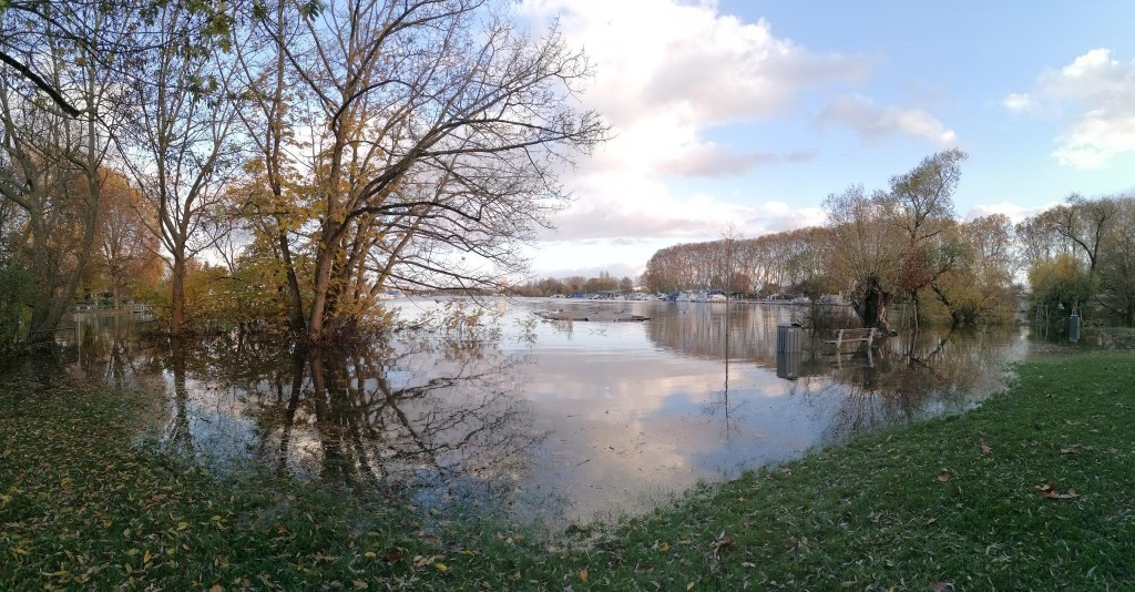 Der Hafen ist voll-2023-11-19.jpg