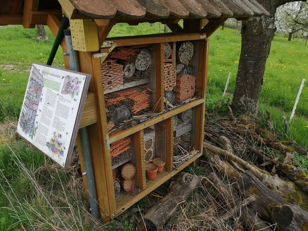 insektenhotel maschen.jpg