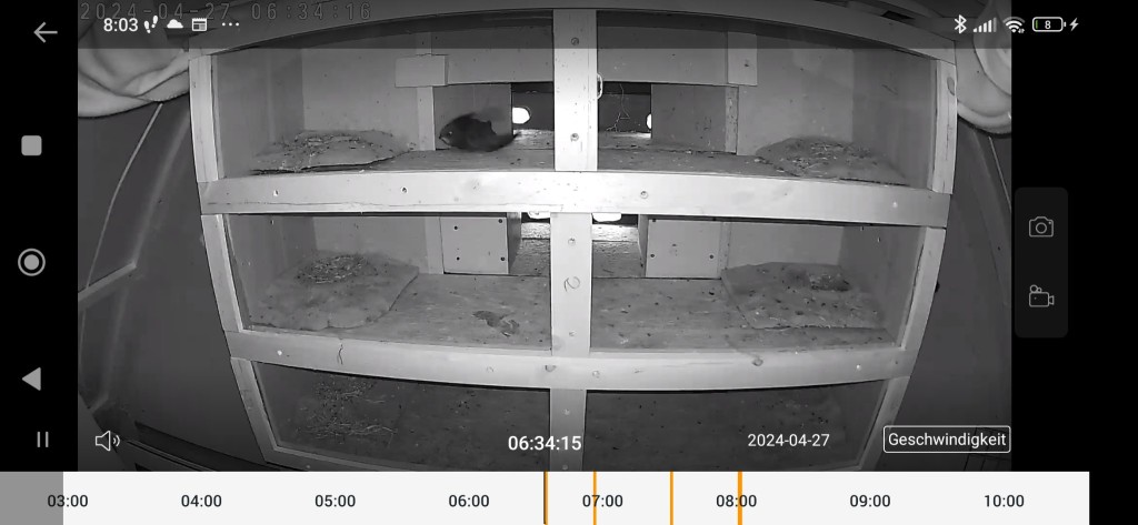 Endlich tut die Kamera auf dem Dachboden das, wofür sie aufgebaut wurde!