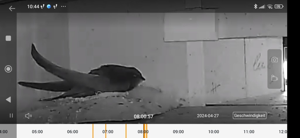 Ganz sicher mal kein Star!