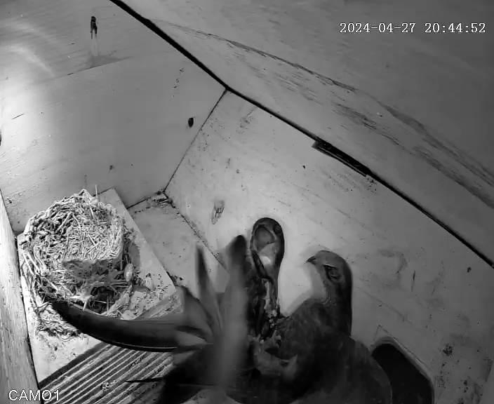 Ist das eine Begrüßung?