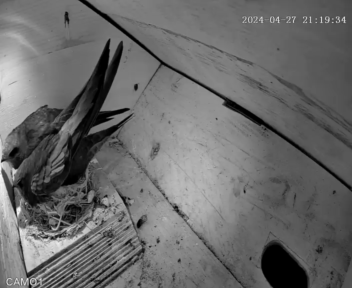 Man kommt sich näher