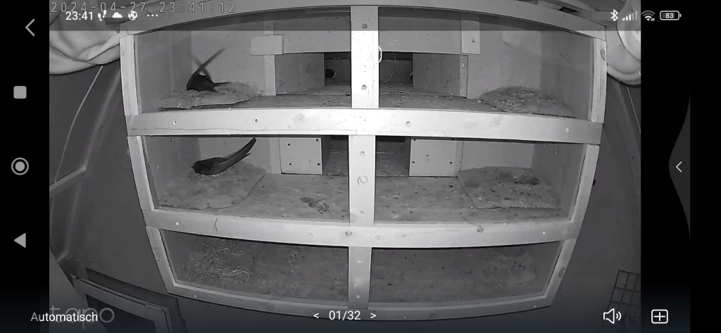 Die erste Nacht der Vorhut