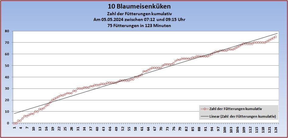 Zahl der Fütterungen in 123 Minuten b.jpg