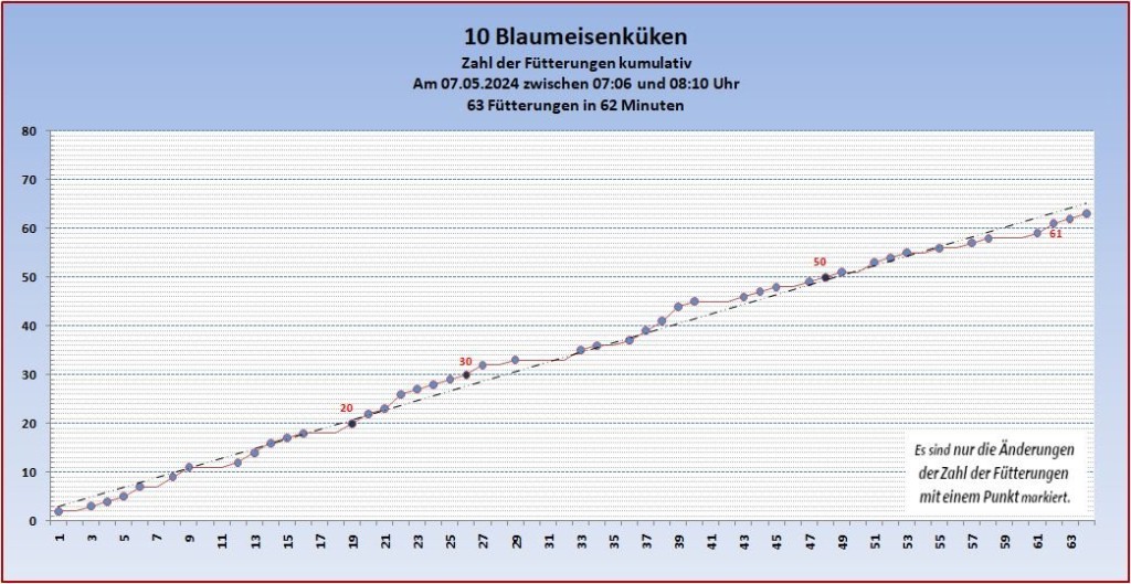 Zahl der Fütterungen in 62 Minuten 07-05-2024 b.jpg